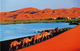 �ڸ������������̽��Ӫ��